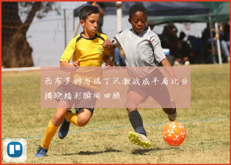 西布罗姆与诺丁汉激战成平局比分揭晓精彩瞬间回顾