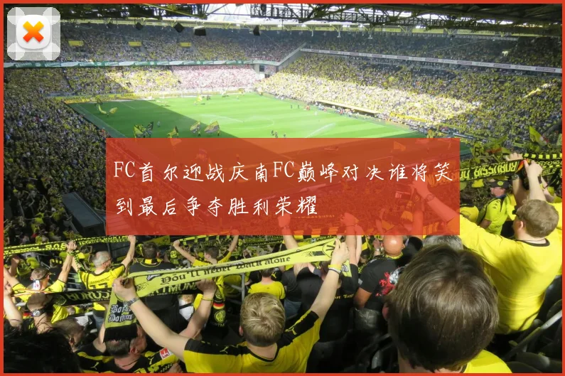 FC首尔迎战庆南FC巅峰对决谁将笑到最后争夺胜利荣耀