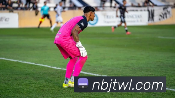 球速体育品牌故事