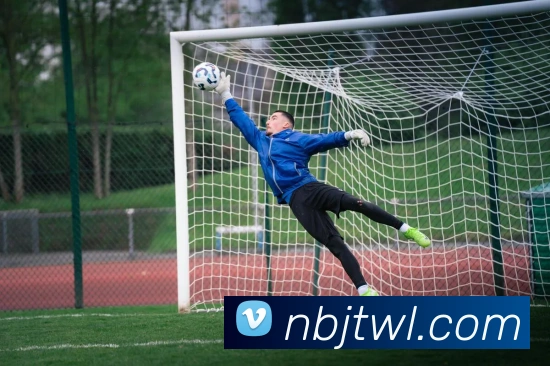 球速体育服务体系